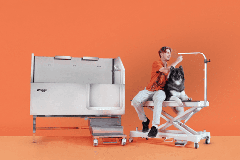 dog sitting on grooming table